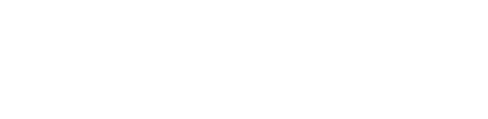 Logo Overlay